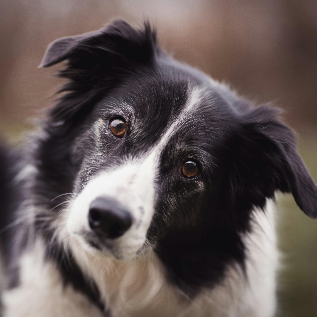 Voorbeeld personage 1